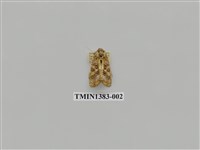 藏品(夜蛾科)的圖片